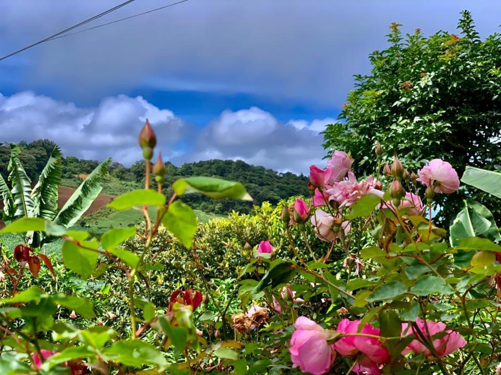 Finca Neblina Del Bosque Estelí Exterior foto